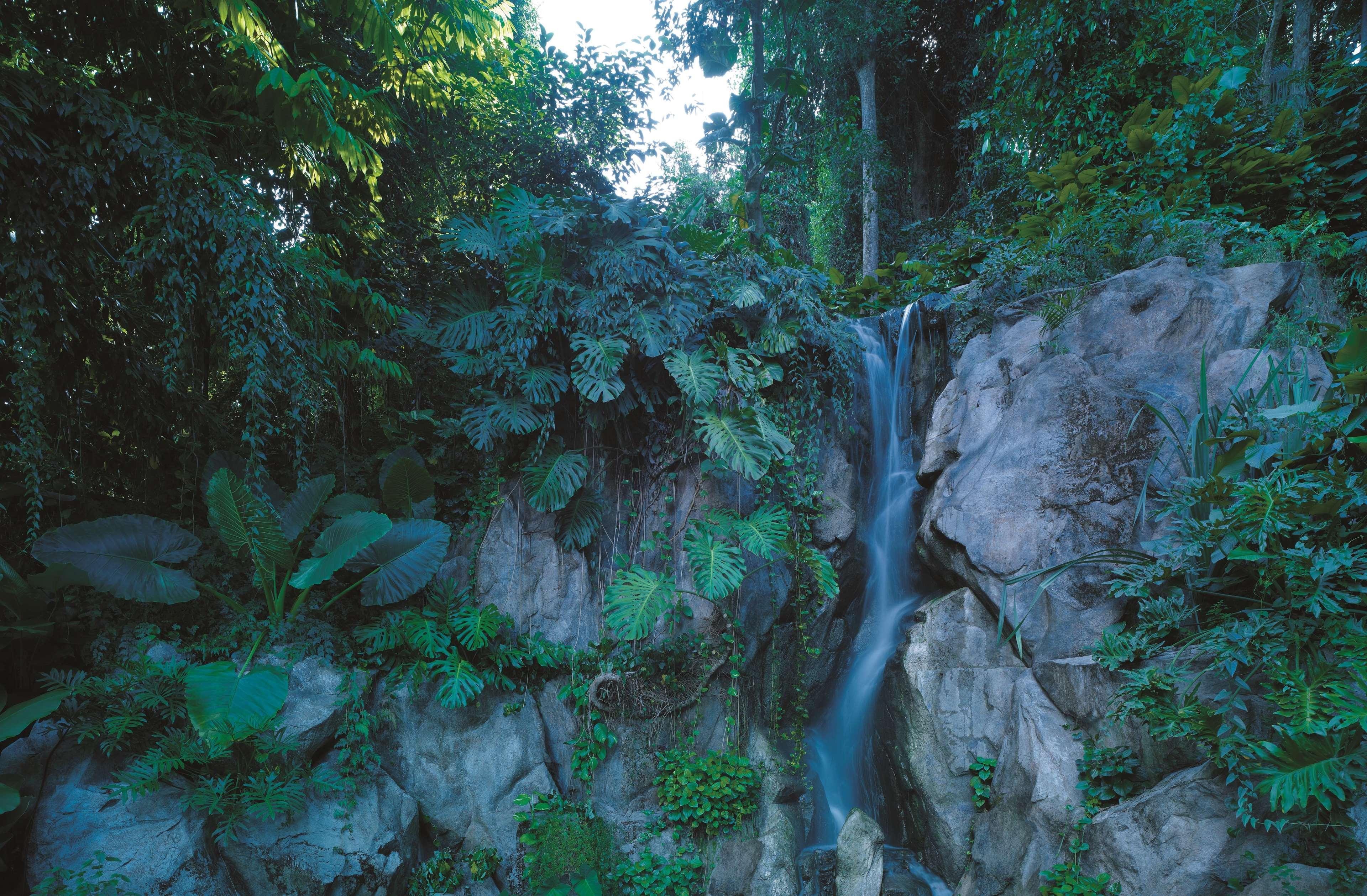 Shangri-La Rasa Sentosa, Сингапур Экстерьер фото The waterfall at the top of the mountain